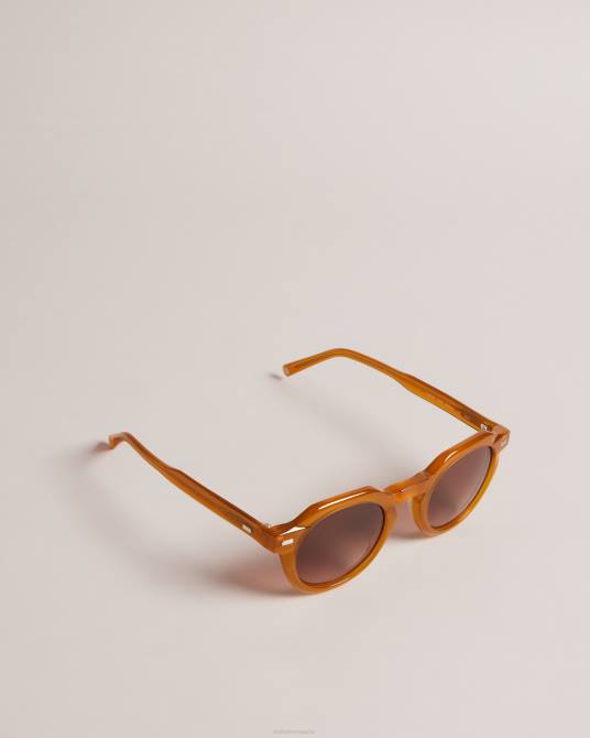Ted Baker hombres 2ZFP1937 accesorios gafas de sol redondas y planas honiee Miel
