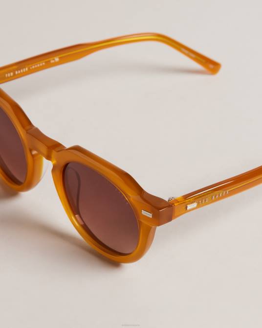Ted Baker hombres 2ZFP1937 accesorios gafas de sol redondas y planas honiee Miel