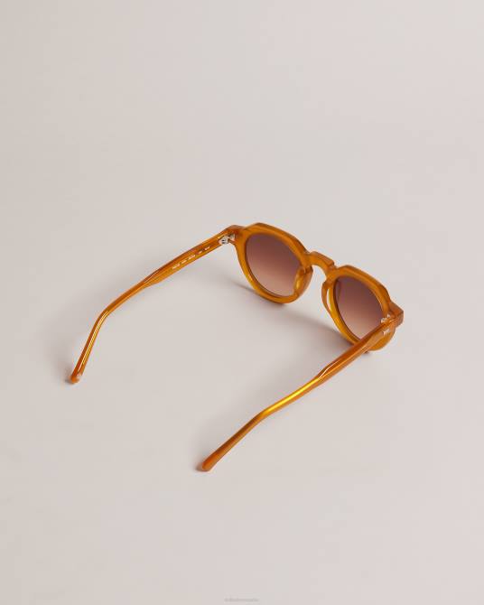 Ted Baker hombres 2ZFP1937 accesorios gafas de sol redondas y planas honiee Miel