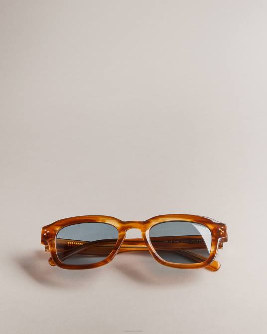 Ted Baker hombres 2ZFP1958 accesorios gafas de sol clásicas con montura cuadrada trtshel carey