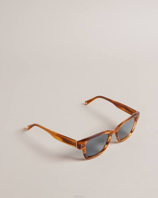 Ted Baker hombres 2ZFP1958 accesorios gafas de sol clásicas con montura cuadrada trtshel carey