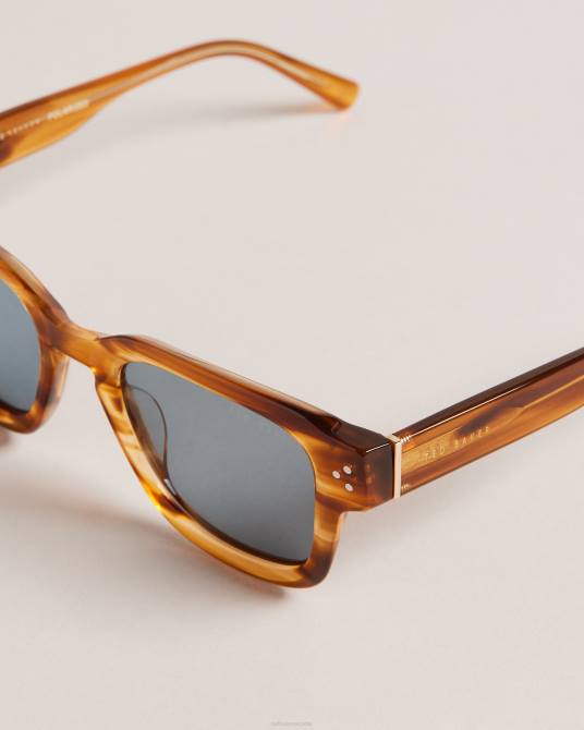 Ted Baker hombres 2ZFP1958 accesorios gafas de sol clásicas con montura cuadrada trtshel carey