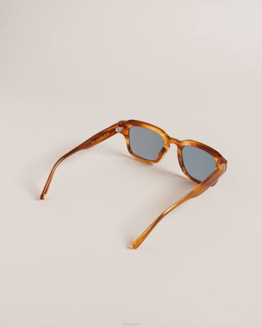 Ted Baker hombres 2ZFP1958 accesorios gafas de sol clásicas con montura cuadrada trtshel carey