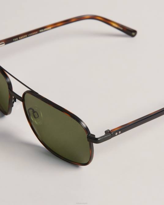 Ted Baker hombres 2ZFP2013 accesorios gafas de sol de aviador cuadradas de metal sunrect carey