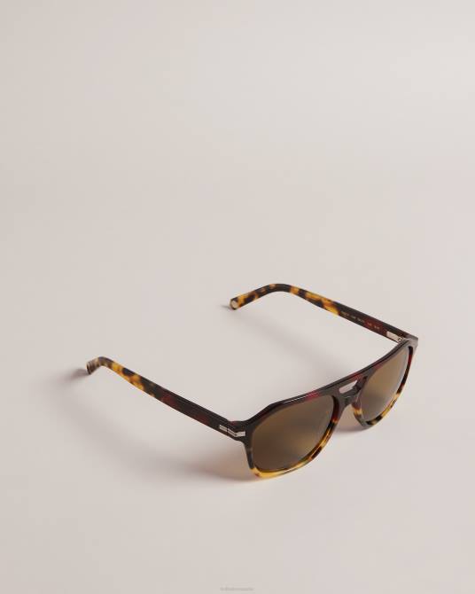 Ted Baker hombres 2ZFP2046 accesorios Tortavi gafas de sol gruesas de aviador carey