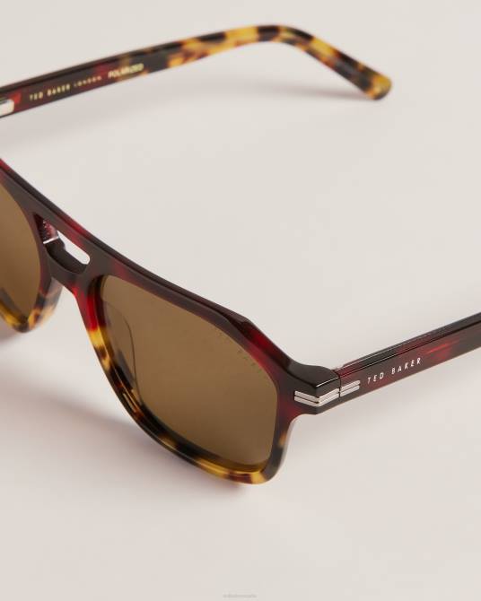 Ted Baker hombres 2ZFP2046 accesorios Tortavi gafas de sol gruesas de aviador carey