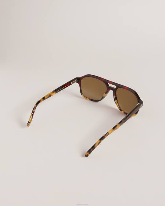 Ted Baker hombres 2ZFP2046 accesorios Tortavi gafas de sol gruesas de aviador carey