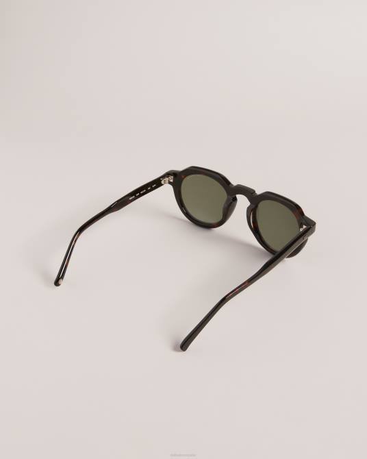 Ted Baker hombres 2ZFP2053 accesorios gafas de sol toriti redondas de carey carey