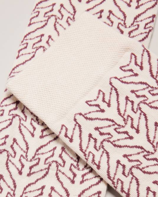 Ted Baker hombres 2ZFP2002 accesorios calcetines de tripulación de avión aerosok crema