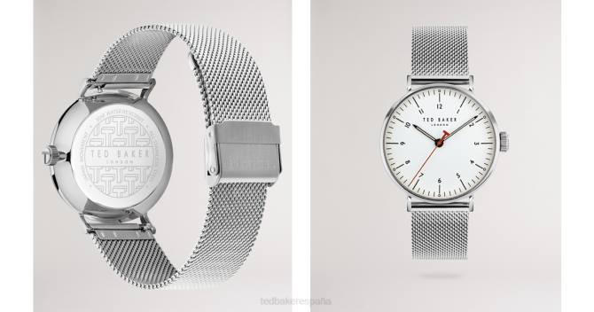 Ted Baker hombres 2ZFP2048 accesorios reloj con correa de malla de espuma color plata