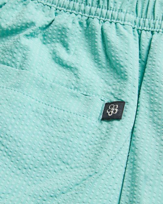 Ted Baker hombres 2ZFP1453 ropa shorts de baño colne lisos con textura menta