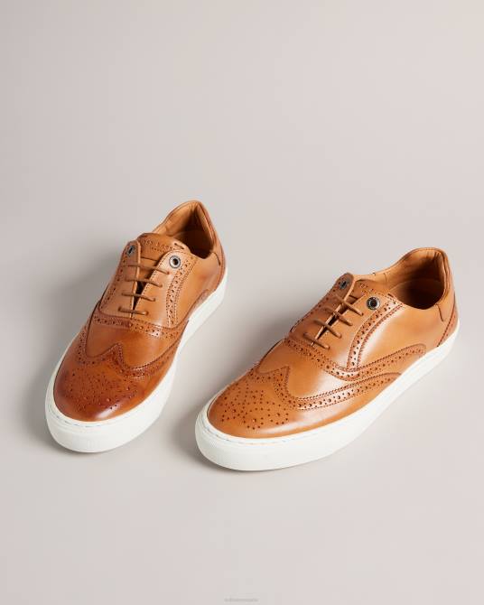 Ted Baker hombres 2ZFP1843 zapatos zapatos brogue híbridos de cuero bruñido dentton broncearse
