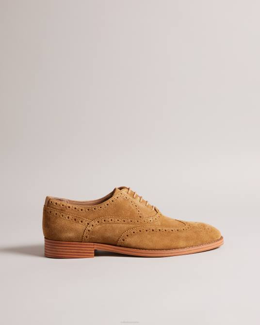 Ted Baker hombres 2ZFP1849 zapatos zapatos brogue formales de ante ammais broncearse