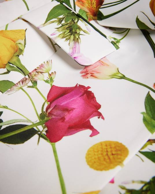 Ted Baker mujer 2ZFP253 ropa chaqueta de traje de corte slim con estampado floral ziaah blanco